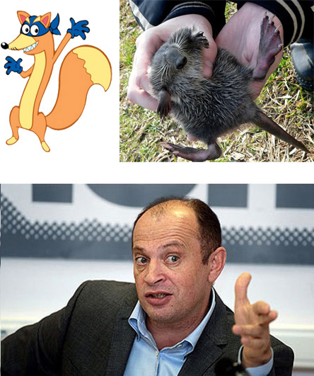 выхухо