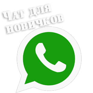 ЧАТ В WhatsApp для новичков
