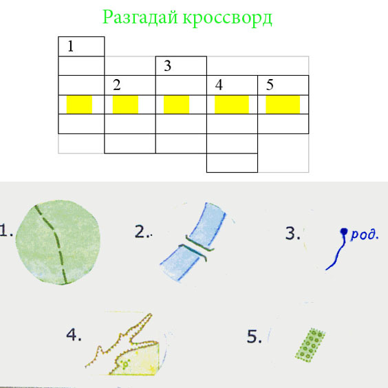 План местности и географическая карта 5 класс