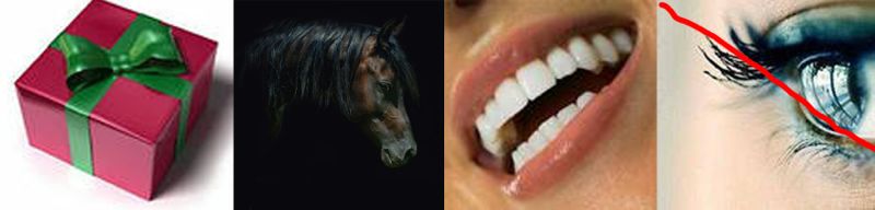 Поговорка дареному коню в зубы