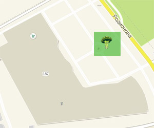 область поиска