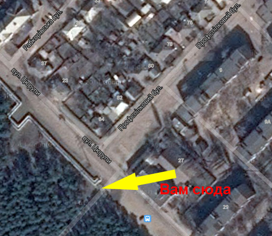 альтернативный текст