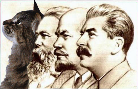 Сталин кот