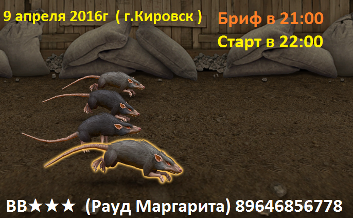 Крысиный бег 4 fb2