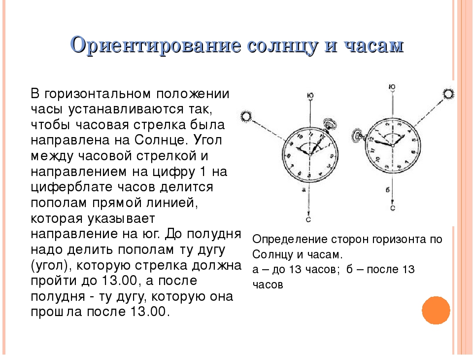 Минута направление. Как определить направление на Юг по часам. Определение сторон горизонта с помощью механических часов. Ориентирование по солнцу и часам.