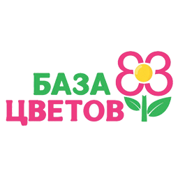 База цветов